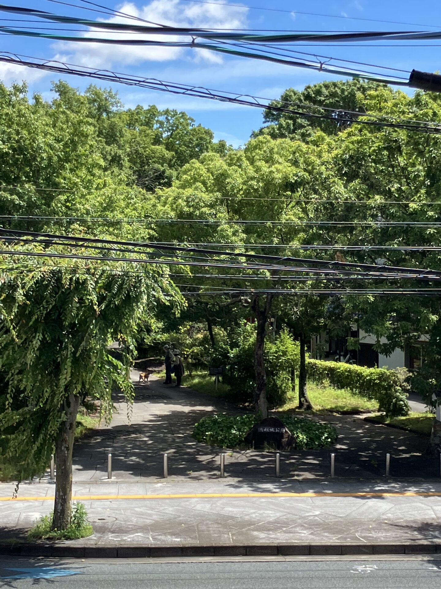 浜松城公園
窓から
景色