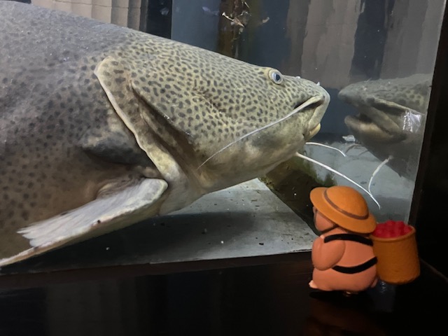 蓼科アミューズメント水族館