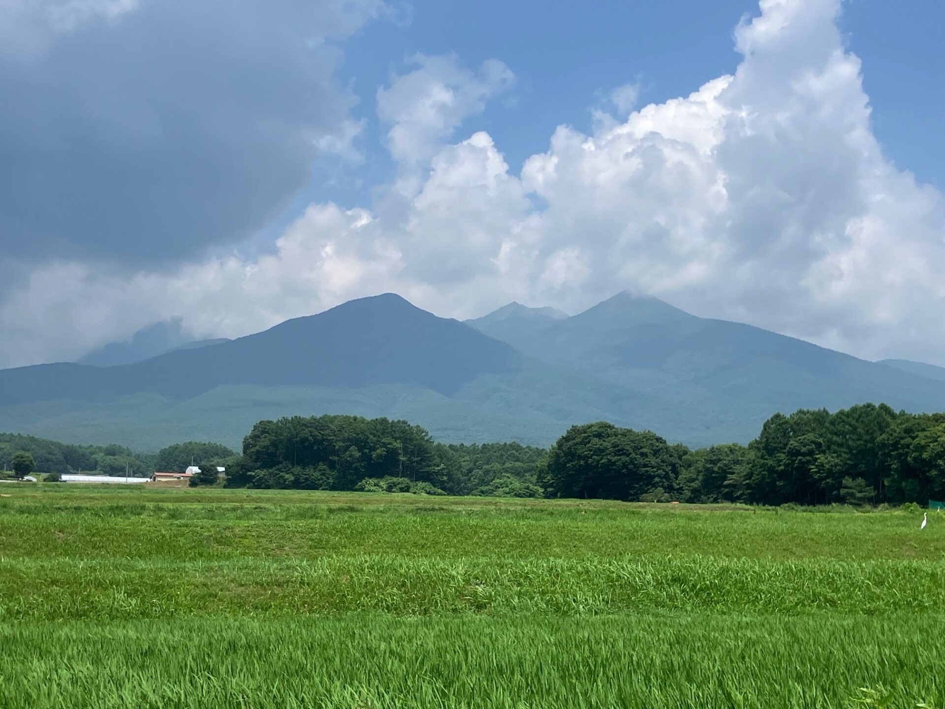 八ヶ岳