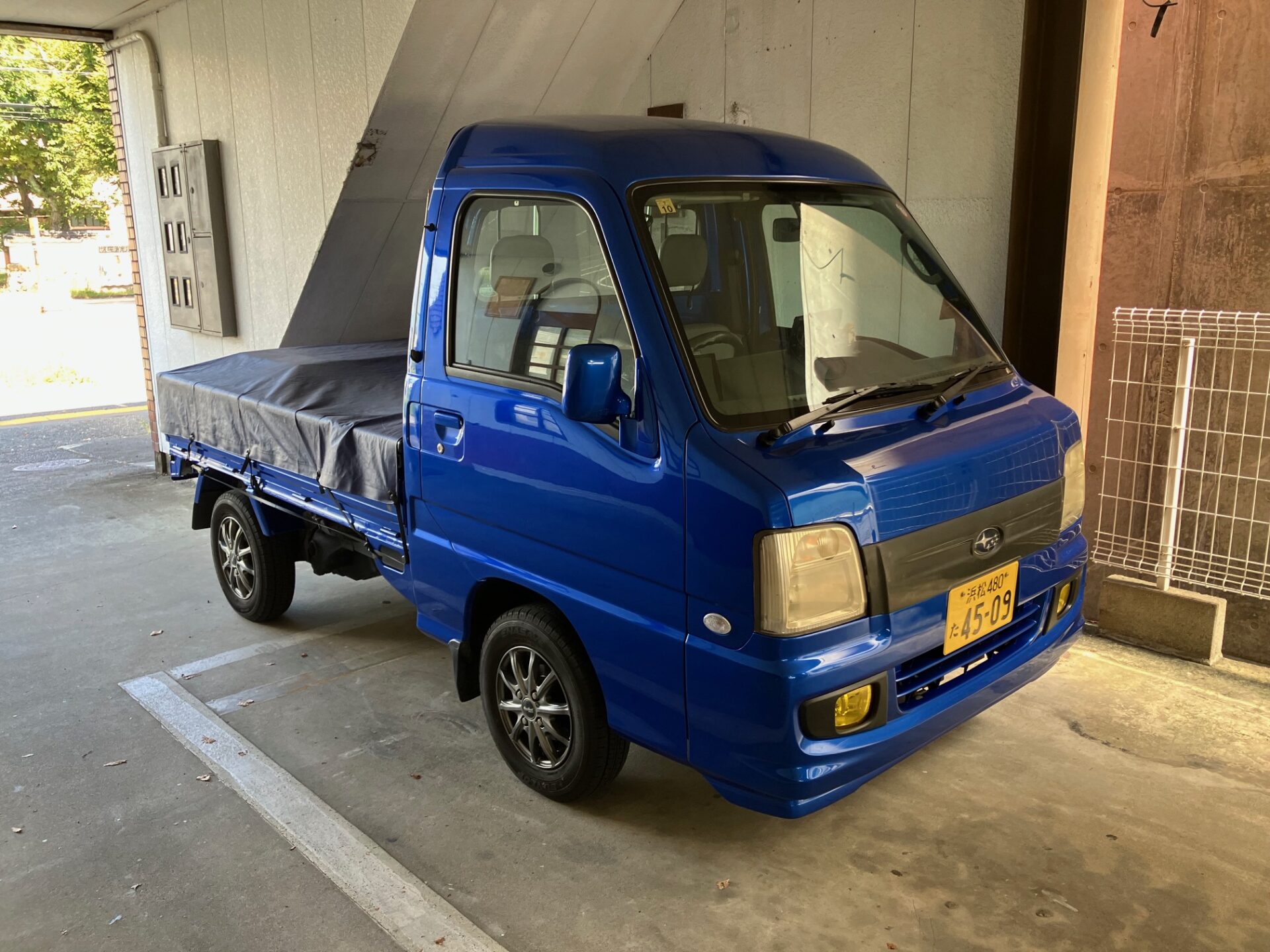 青トラ
