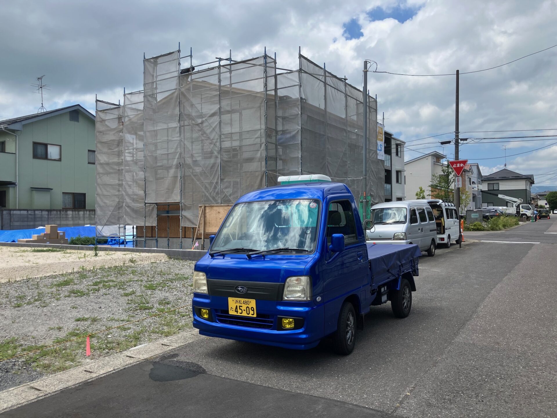 青トラ